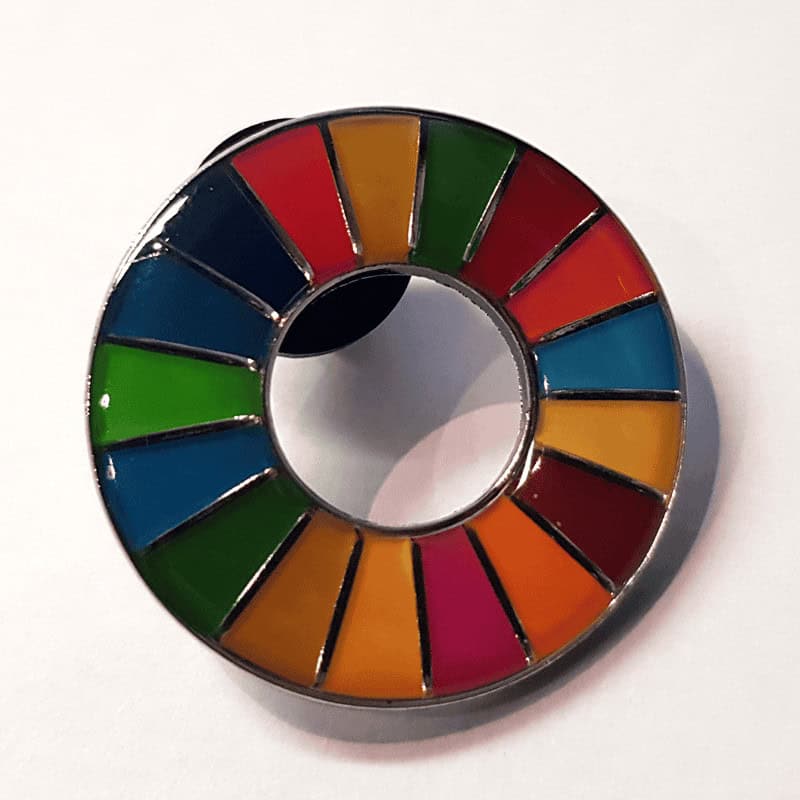 SDG Pin