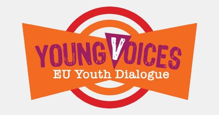 YOUNG VOICES – IDEAS TO ACTION! - National Youth Council of Ireland