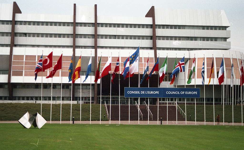 Ireland has a seat at the table: elected to the Council of Europe Advisory Council on Youth