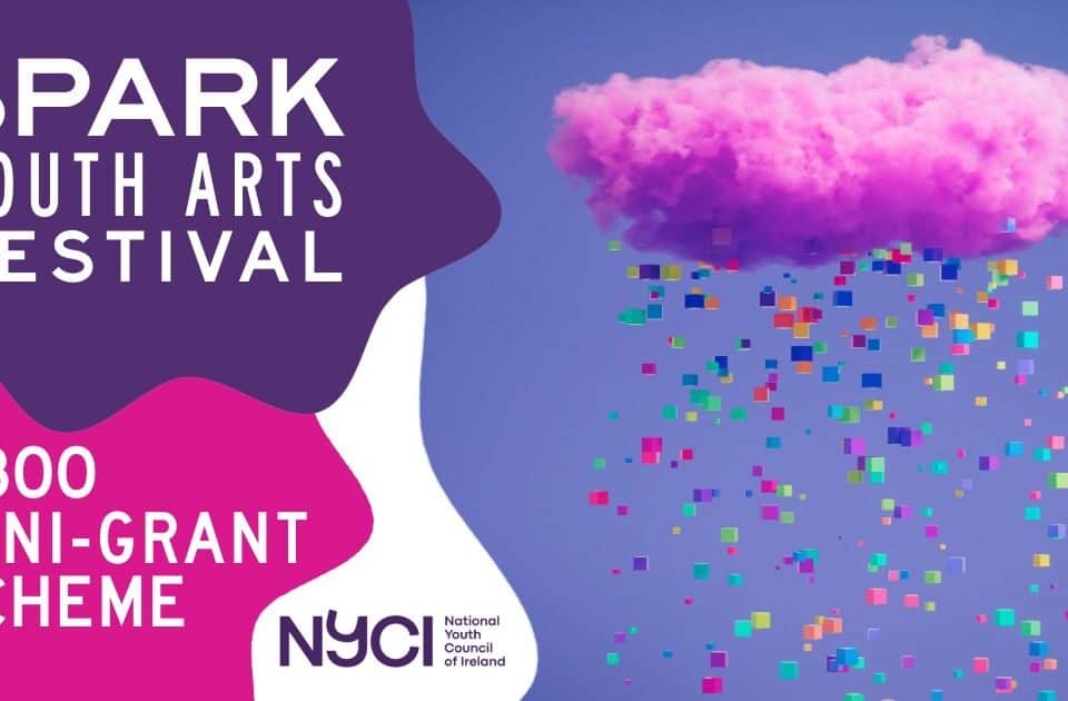 SPARK Mini Grant image