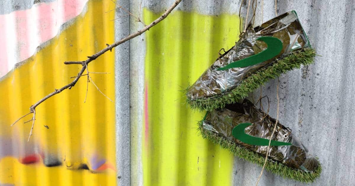 Web Image for Shoe Stories Training